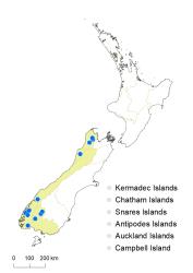 Notogrammitis gunnii distribution map based on databased records at AK, CHR & WELT.
 Image: K.Boardman © Landcare Research 2021 CC BY 4.0